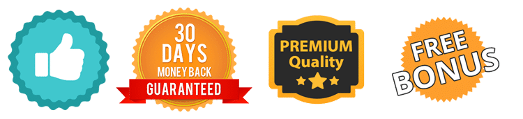 the 7 Figure Accelerator